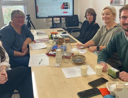 Job Shadowing în promovarea incluziunii – Madrid, Spania, 3-5 Noiembrie 2025